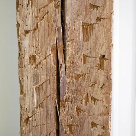 Art 3*